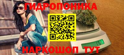 прущие грибы Тула