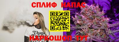прущие грибы Тула