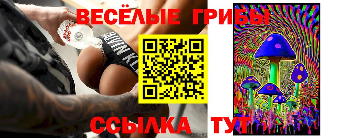 купить наркотик  Вход с VPN  Сухой Лог  Галлюциногенные грибы Magic Shrooms 