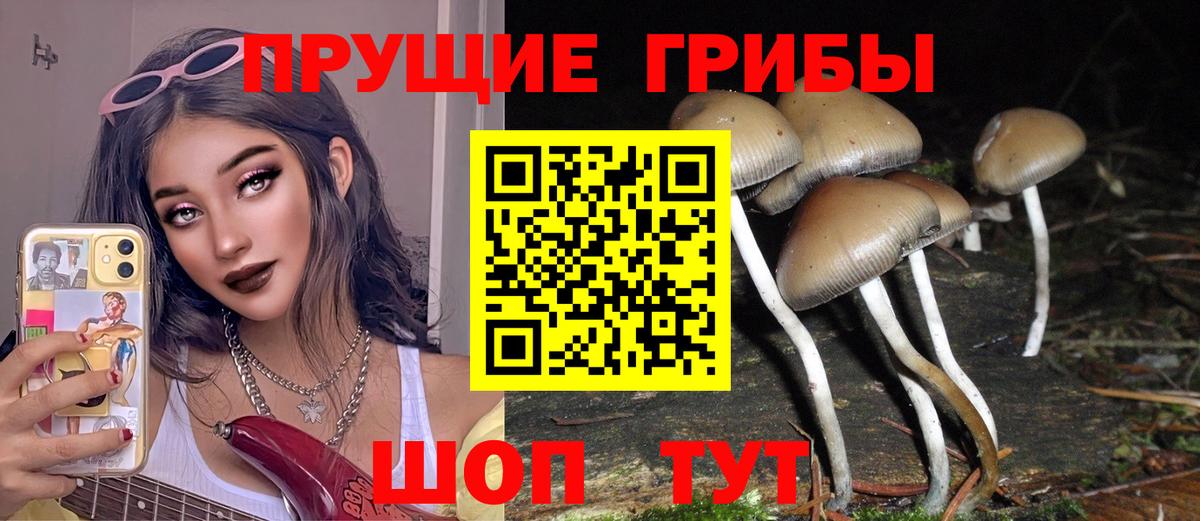 Псилоцибиновые грибы прущие грибы Сухой Лог